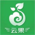 云果网购物APP安卓版