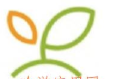 小绿芽购物app