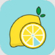 柠檬加密相册管家app