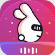 To语音交友app
