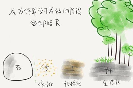 打卡森林如何打卡 打卡森林注销的方法