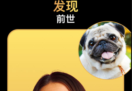 1623744798611105.jpg banuba视频该怎么制作