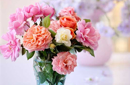 2021-6-17 10-18-15.jpg