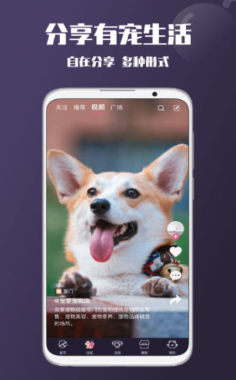 憨憨宠物app