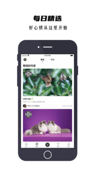 1641446069666804.jpg 看猫app