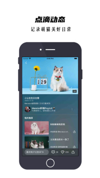 1641446089754121.jpg 看猫app