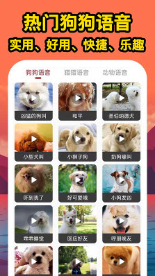 人人猫狗翻译交流器app
