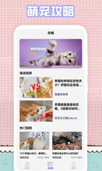 1649318670744128.jpg 我的猫咪app