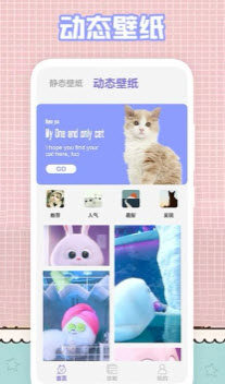 1649318676673791.jpg 我的猫咪app